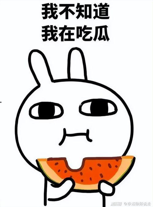 瓜瓜吃瓜音乐,揭秘流行乐坛的甜蜜诱惑